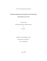 Molecular imaging of the mechanisms of Nrf2 and Keap1 interactions in live-cells: a dissertation in Biomedical Engineering and Biotechnology