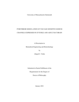 Pyrethroid modulation of voltage sensitive sodium channels expressed in juvenile and adult rat brain: a dissertation in Biomedical Engineering and Biotechnology