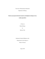 Marine macroparasite infection dynamics and mitigation techniques in bayscallop aquaculture: a thesis in Marine Biology