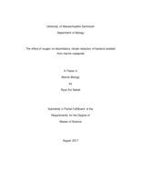 The effect of oxygen on dissimilatory nitrate reduction of bacteria isolated from marine copepods: a thesis in Marine Biology