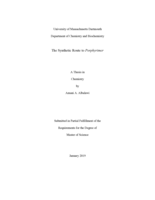 The synthetic route to porphyrimer: a thesis in Chemistry