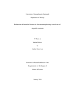 Reduction of intestinal tissues in the metamorphosing American eel, Anguilla rostrata: a thesis in Marine Biology