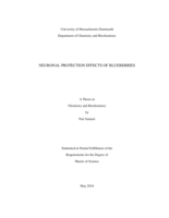 Neuronal protection effects of blueberries: a thesis in Chemistry and Biochemistry