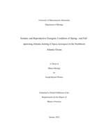 Somatic and reproductive energetic condition of Spring– and Fall– spawning Atlantic herring (Clupea harengus) in the Northwest Atlantic Ocean: a thesis in Marine Biology