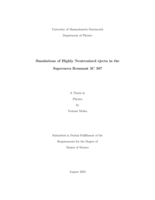 Simulations of highly neutronized ejecta in the supernova remnant 3C 397: a thesis in Physics