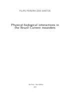 Physical-biological interactions in the Brazil Current meanders: corrected version : doctoral dissertation presented to the Oceanographic Institute of the University of São Paulo and the School for Marine Science & Technology of the University of Massachusetts Dartmouth in fulfillment of the requirements for receiving the degree of Doctor of Science, Dual Degree Ph.D. Program in Oceanography, concentration in Physical Oceanography -- Marine and Atmospheric System Modeling and Analysis