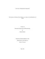 The insertion of Chitinase B into Rhodococcus Opacus for the breakdown of chitin: a thesis in Biomedical Engineering and Biotechnology