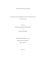 Development of genetic engineering tools for the iridescent bacteria Cellulophaga lytica: a thesis in Biomedical Engineering and Biotechnology