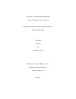 Finding wonder and transendence in wild places: a thesis in Artisanry