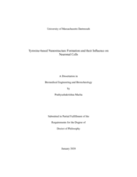 Tyrosine-based nanostructure formation and their Influence on neuronal cells: a dissertation in Biomedical Engineering and Biotechnology