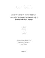 Biochemical investigation of the binary interaction between HIV-1 NEF protein and its potential cellular targets: a thesis in Chemistry