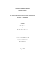 The effects of capture stress on cardiac function and potential recoverymechanisms in elasmobranchs: a thesis in Marine Biology