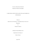 A video trawl survey for Atlantic Cod (Gadus Morhua) in New England: a thesis in Marine Science and Technology - Living Marine Resources Science and Management