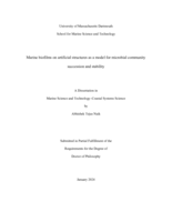 Marine biofilms on artificial structures as a model for microbial community succession and stability: a  dissertation in Marine Science and Technology–Coastal Systems Science