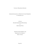 Exploring electroporation as a method for the genetic manipulation in Cellulophaga lytica: a thesis in Biomedical Engineering and Biotechnology