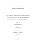 Phytochemical profiling of blueberries and their neuronal protection through the inhibition of tyrosinase and acetylcholinesterase: a thesis in Chemistry and Biochemistry