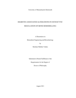 Diabetes associated alterations in osteocytic regulation of bone remodelling: a dissertation in Biomedical Engineering and Biotechnology
