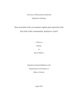 Does association with a sea anemone regulate gene expression in the skin of the Clark’s anemonefish, Amphiprion clarkii?: a thesis in Biology