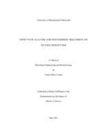 Effects of glucose and pentosidine treatment on OCY454 osteocytes: a thesis in Biomedical Engineering and Biotechnology