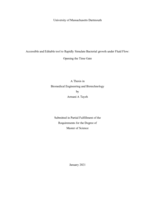 Accessible and editable tool to rapidly simulate bacterial growth under fluid flow: opening the time gate: a thesis in Biomedical Engineering and Biotechnology