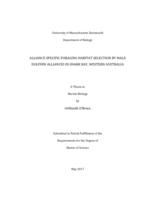 Alliance specific foraging habitat selection by male dolphin alliances in Shark Bay, Western Australia: a thesis in Marine Biology
