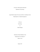 Anger-related cognitive processes and affect: considering context misperceptions to understand aggression : a thesis in Psychology 