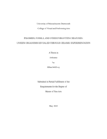 Phasmids, fossils, and other forgotten creatures: unseen organisms revealed through ceramic experimentation : a thesis in Artisanry