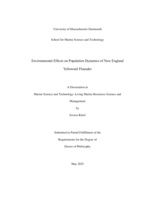 Environmental effects on population dynamics of New England Yellowtail Flounder