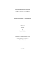 Shared environments, a story of beauty: a thesis in Artisanry