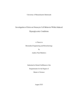 Investigation of Irisin on osteocyte cell behavior within induced hyperglycemic conditions: a thesis in Biomedical Engineering and Biotechnology