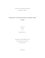 Mechanisms of turbulent burning in magnetic white dwarfs: a thesis in Physics