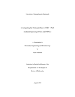 Investigating the molecular bases of HIV-1 Nef-mediated hijacking of Alix and PTPN23: a dissertation in Biomedical Engineering and Biotechnology