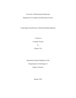 Using image classification to determine banana ripeness: a thesis in Computer Science