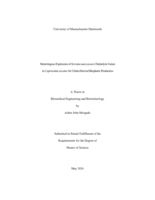 Heterologous expression of Serratia marcescens chitinolytic genes in Cupriavidus necator for chitin-derived bioplastic production: a thesis in Biomedical Engineering and Biotechnology