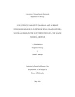 Structured variation in aerial and surface feeding behavior in humpback whales (Megaptera Novaeangliae) in the Southwestern Gulf of Maine feeding ground: a dissertation in Integrative Biology