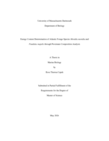 Energy content determination of Atlantic forage species Menidia menidia and Fundulus majalis through proximate composition analysis : a thesis in Marine Biology