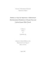 Pathway to type Iax supernovae: 3-dimensional hydrodynamical simulations of oxygen-neon and carbon-oxygen white dwarfs : a thesis in Physics
