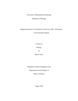 Flagella restoration in Pseudomonas Fluorescens Pf0-1 in response to environmental signals: a thesis in Biology